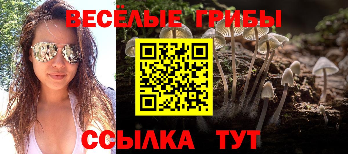 Галлюциногенные грибы Cubensis Среднеуральск